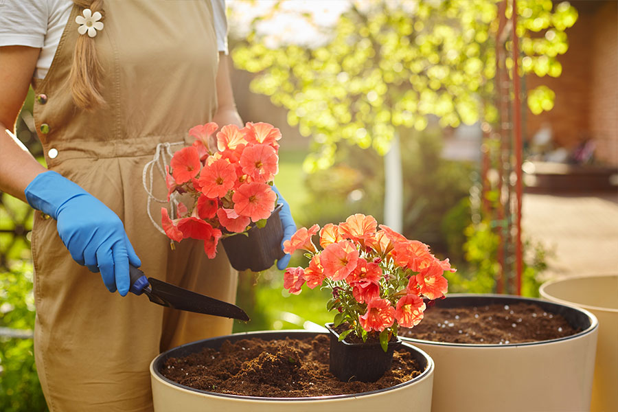 A woman wearing a nude jumpsuit with blue gloves planting flowers outside instead of inside to purify the air in her Metro East home.