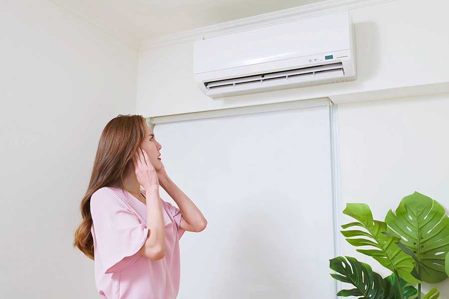 A woman in her home in the metro-east area is getting irritated by the noise her air conditioner is making when she turns it on.
